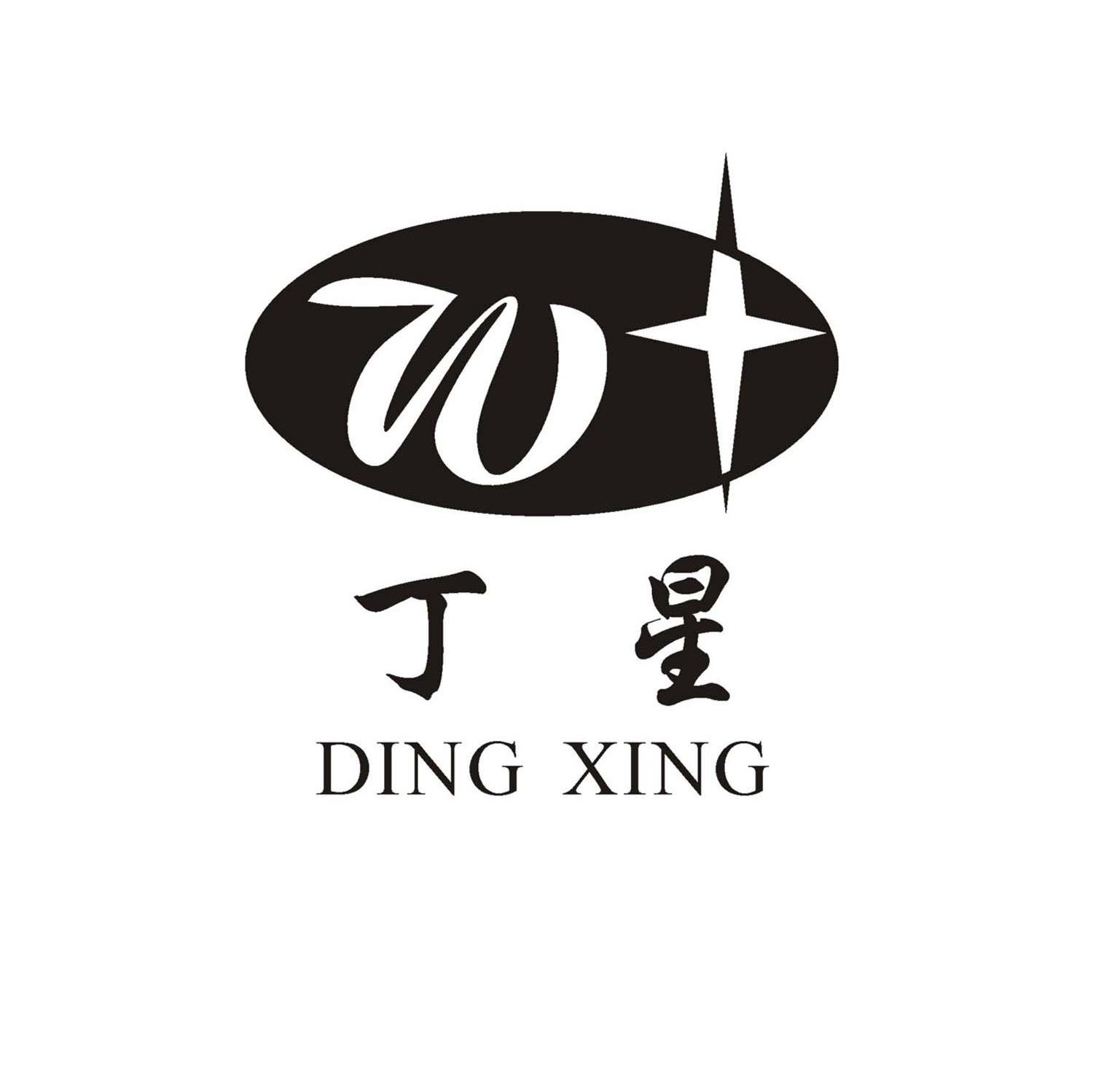 丁星 W
