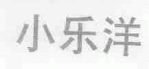 小乐洋