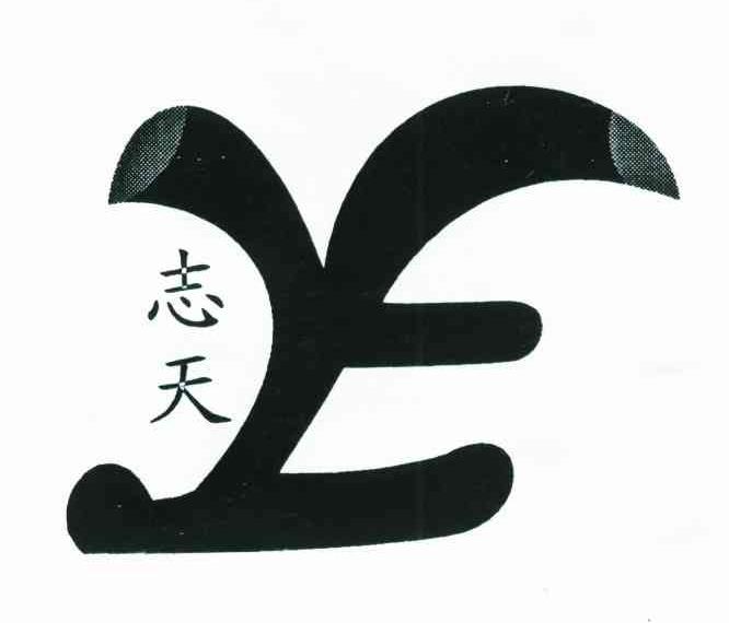 志天