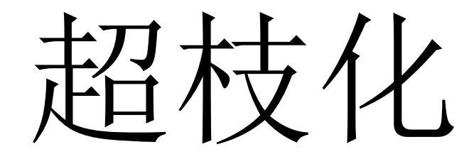 超枝化