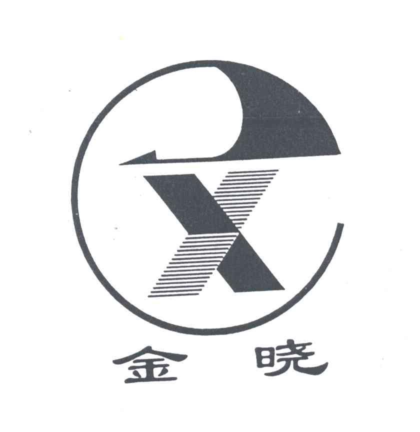 金晓;X