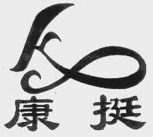 康挺