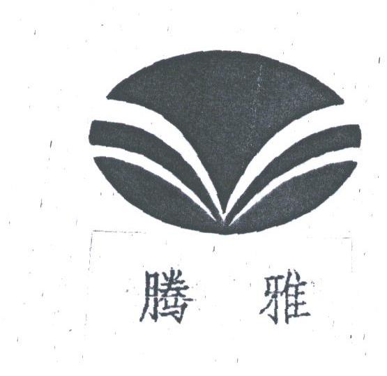 腾雅