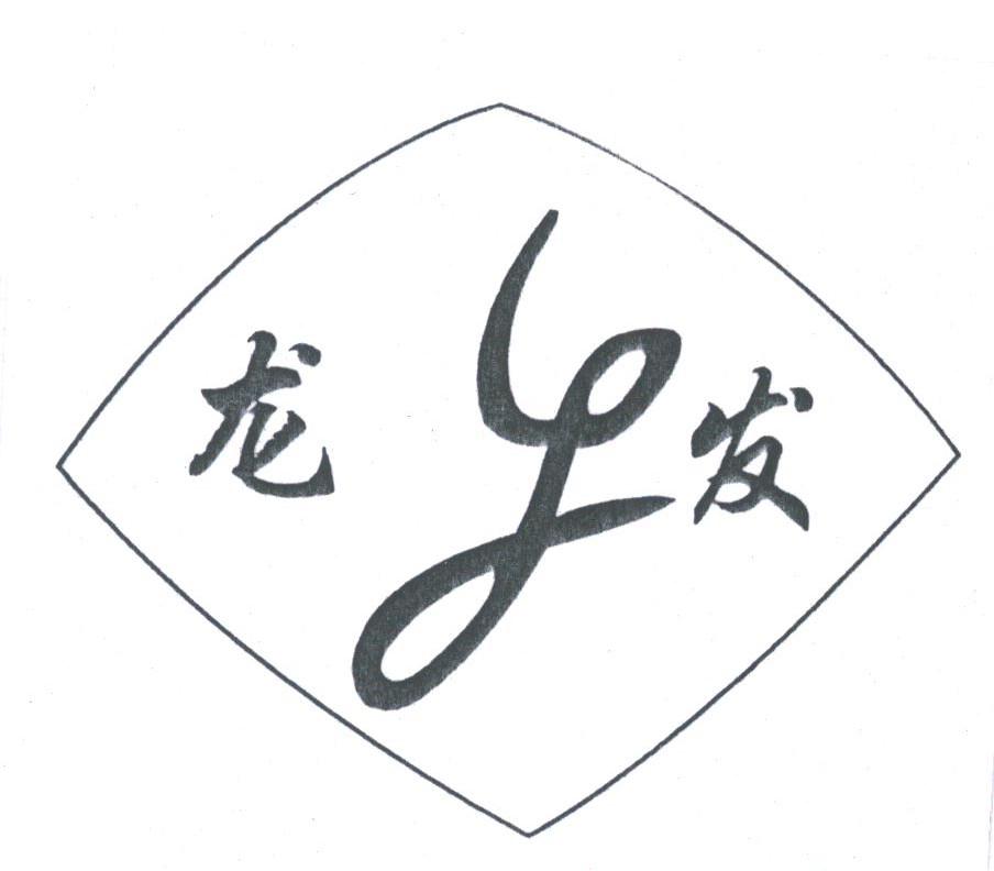 龙发