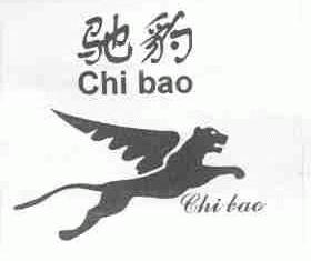 驰豹