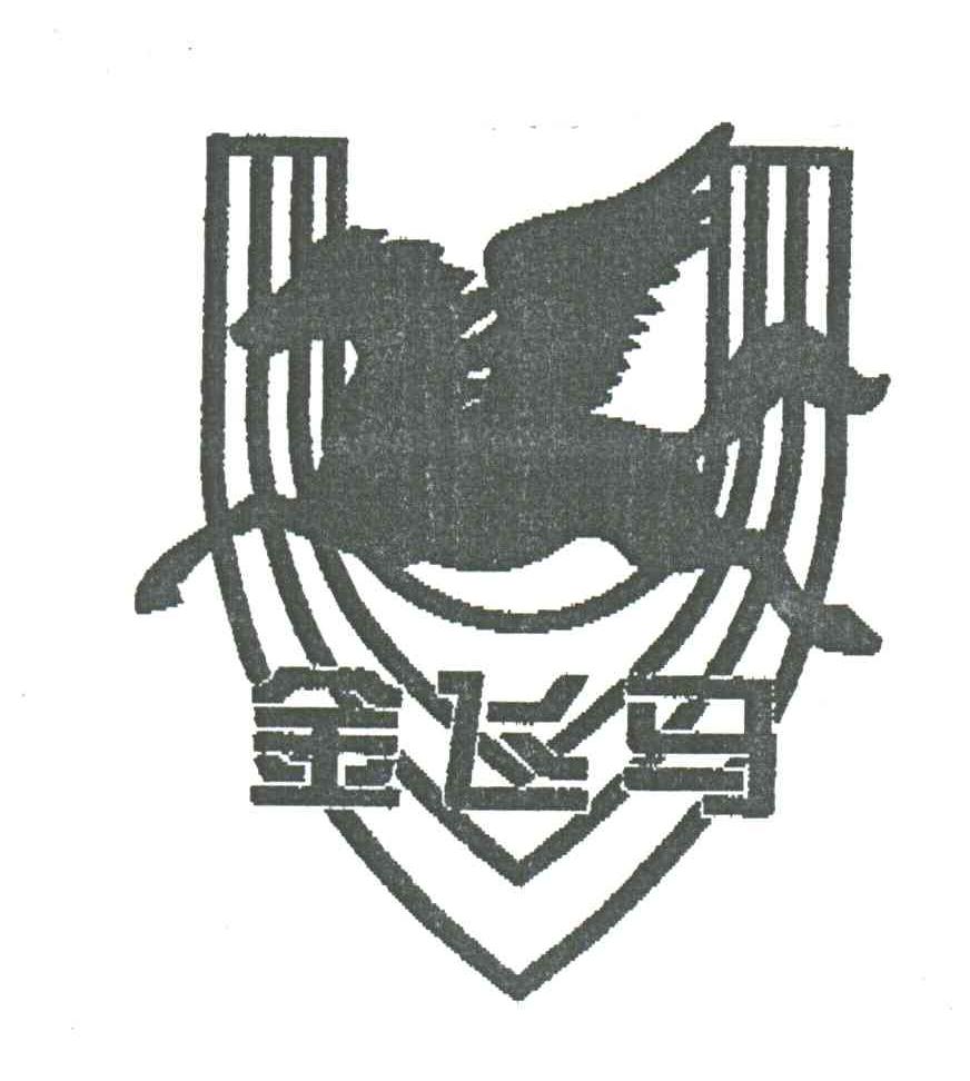 金飞马