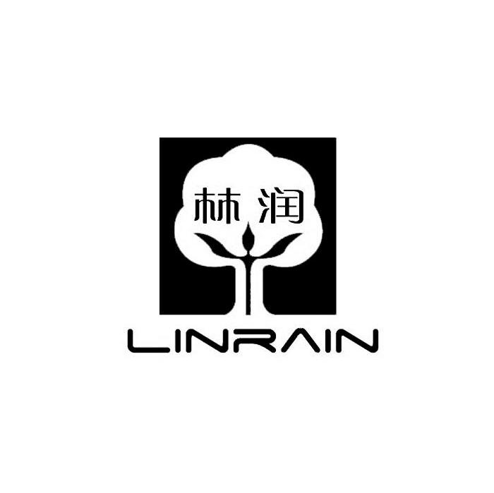 林润 LINRAIN