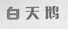白天鹅