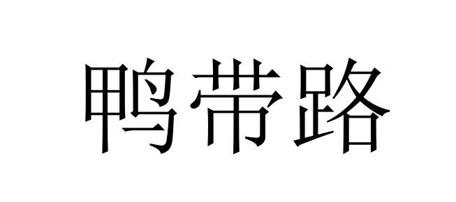 鸭带路