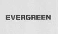 EVERGREEN