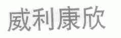 威利康欣