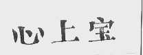 心上宝
