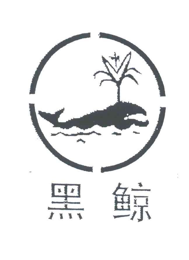 黑鲸