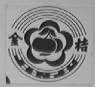 金桔