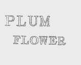 PLUM FLOWER
