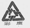 彩鹰