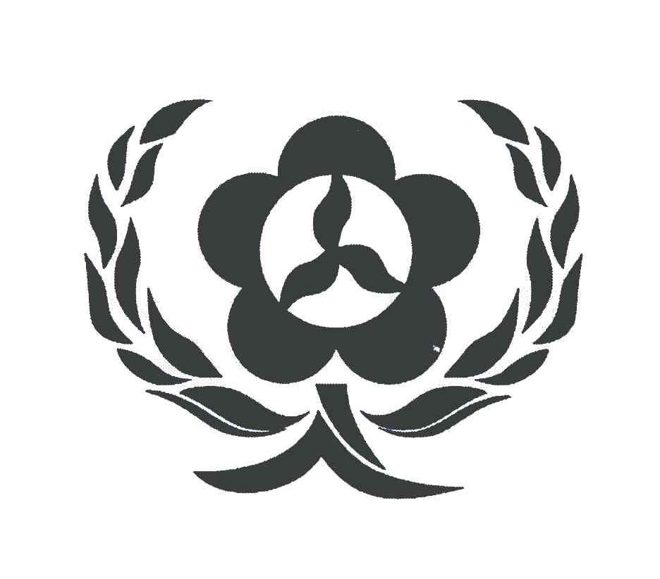图形