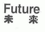 未来;FUTURE