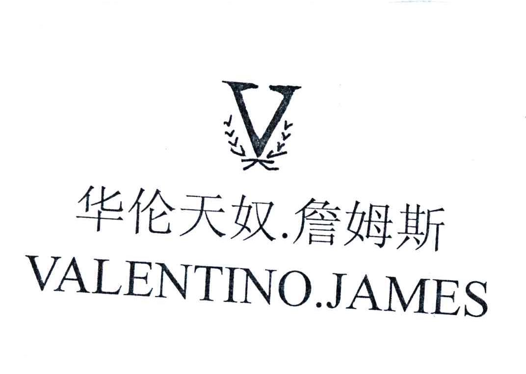 华伦天奴詹姆斯;VALENTINO JAMES