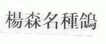 杨森名种鸽