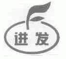 进发