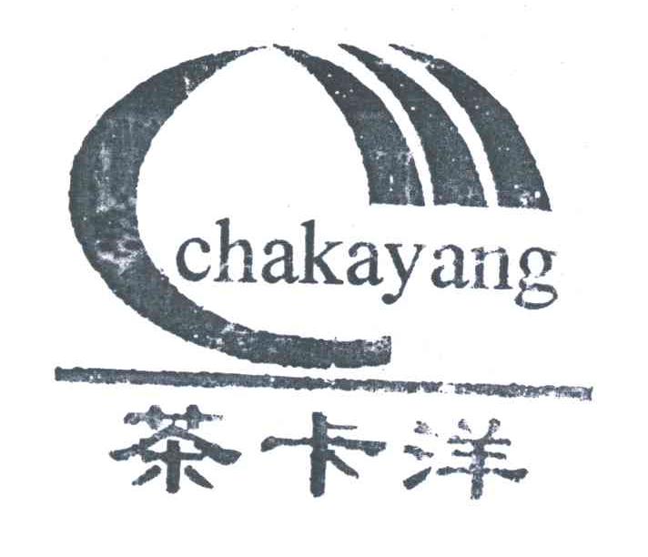 茶卡洋