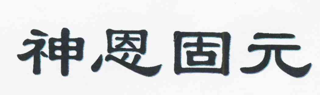 神恩固元