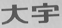 大宇