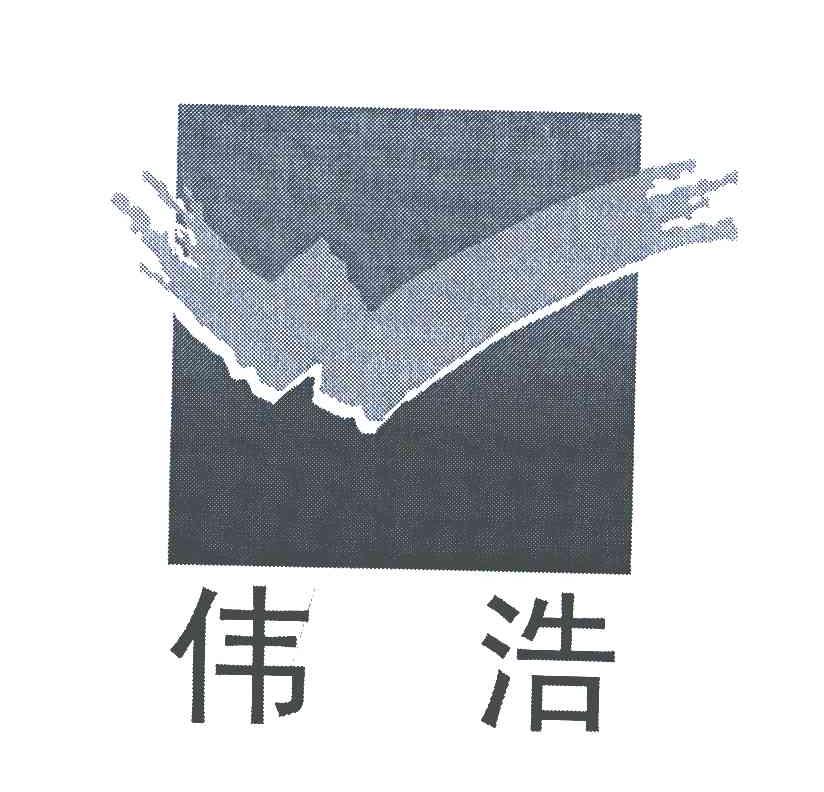 伟浩