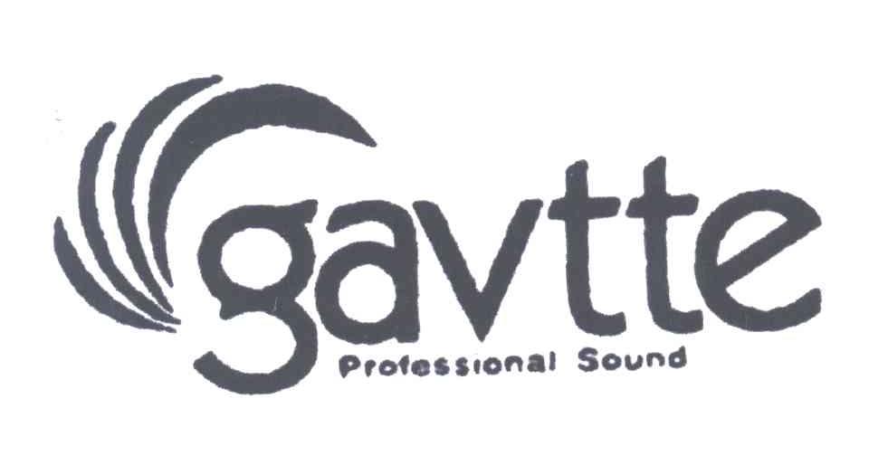 GAVTTE PROFESSIONAL SOUND