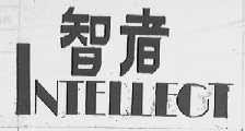 智者