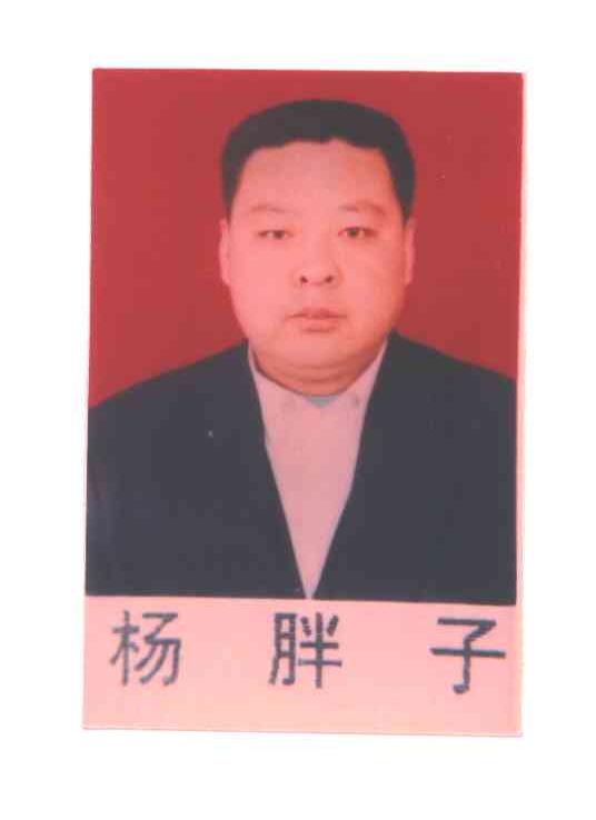 杨胖子