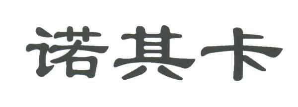 诺其卡