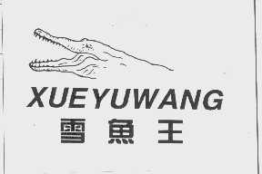 雪鱼王