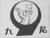 九龙