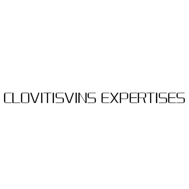 CLOVITISVINS EXPERTISES