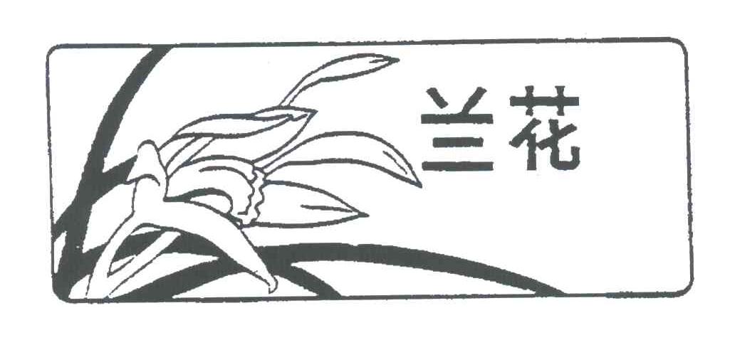 兰花