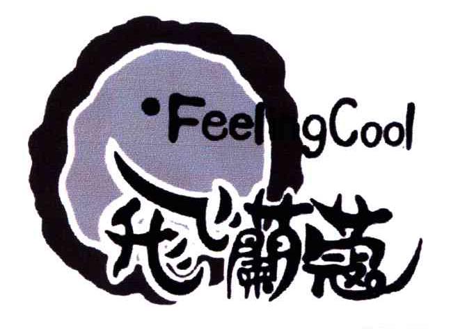 飞兰蔻;FEELING COOL
