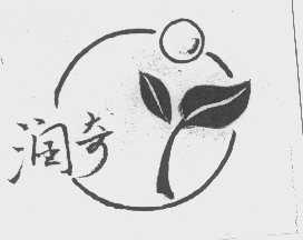 润奇