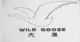 大雁    WILD GOOSE
