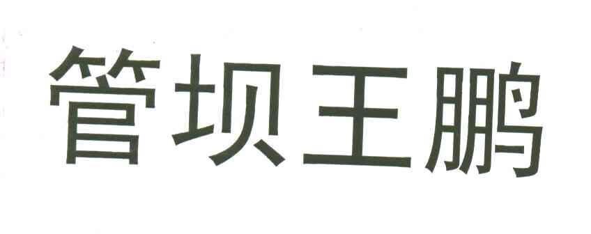 管坝王鹏