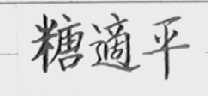 糖适平