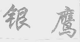 银鹰