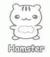 HAMSTER