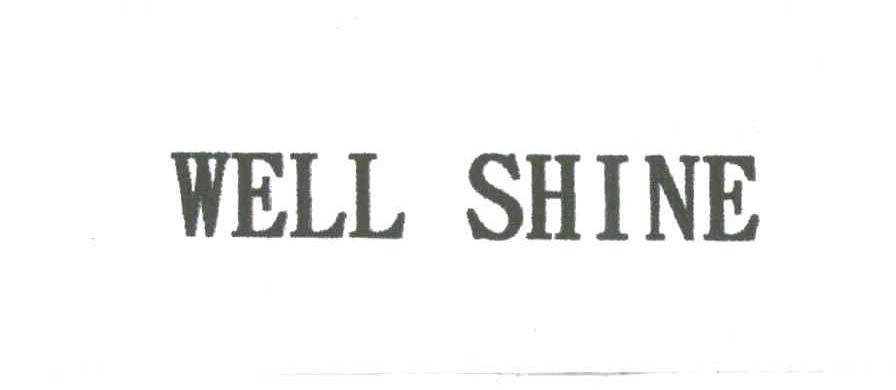 WELL SHINE