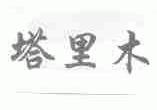 塔里木