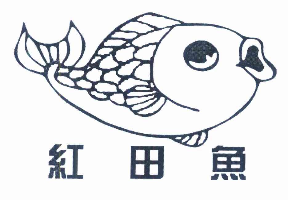 红田鱼