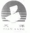 天洋