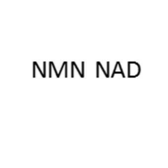 NMN NAD