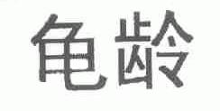 龟龄